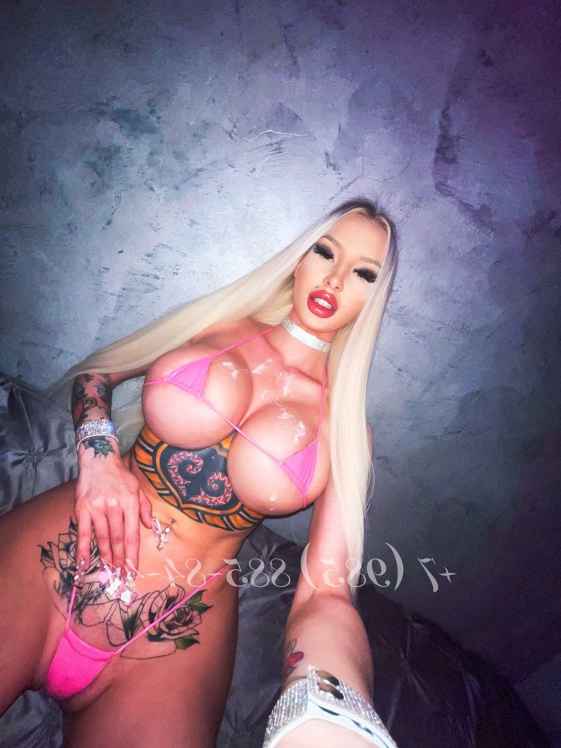 Huge Bimbo Cocksuckers #K6QPXERd